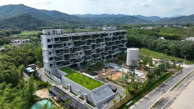漫游惠州218最美旅游公路丨惠州这里有个“沉浸式雨林景观驿站”