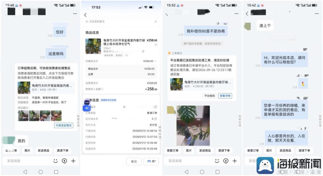 事实:网购绿植半年后死亡,顾客要求全额退款遭拒,投诉到闭店,商家:店都没了,我为什么要妥协?(图2) 事实:网购绿植半年后死亡,顾客要求全额退款遭拒,投诉到闭店,商家:店都没了,我为什么要妥协?(图2)