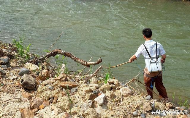 邻居相约电鱼，一人溺亡！同行者竟要赔钱？这事儿到底冤不冤？