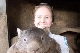 对贪官污吏不能再称为“老虎”，应该恢复原来人人喊打的“硕鼠”图片