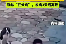 遗憾啊!48岁男子被狗抓伤没打疫苗确诊“狂犬病”，发病3天后离世图片