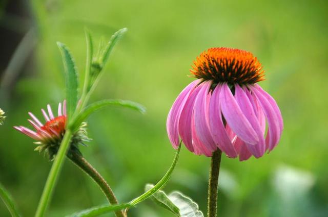 爆款标题：人这一生，最大的憾事莫过于相遇越无法相拥。