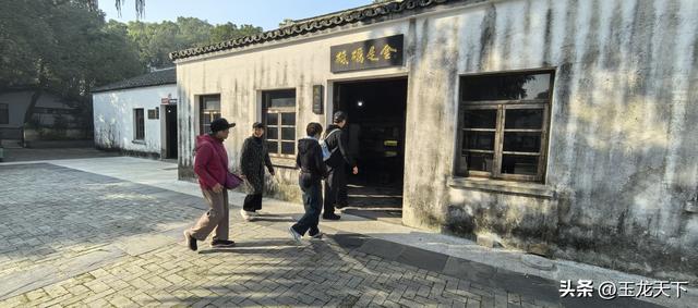 晨光与深呼吸：在同里湿地公园的万步悠然