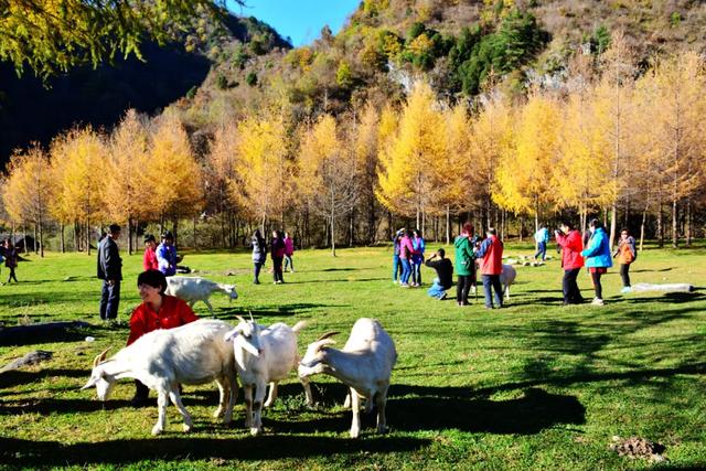 秋假不“宅家”！汉中这4条线路，承包你和孩子的秋日心动～