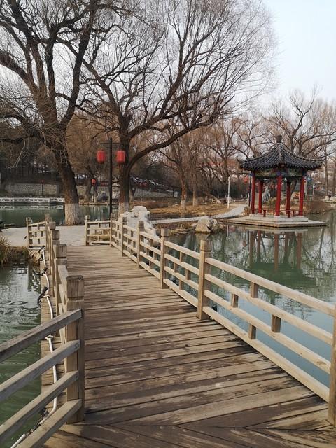 山东“最美县城”非它莫属，无数游客慕名而来，结果都被惊艳到了