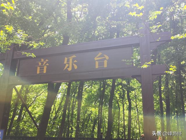 访中山陵遇周一闭馆，音乐台看白鸽与音符共舞