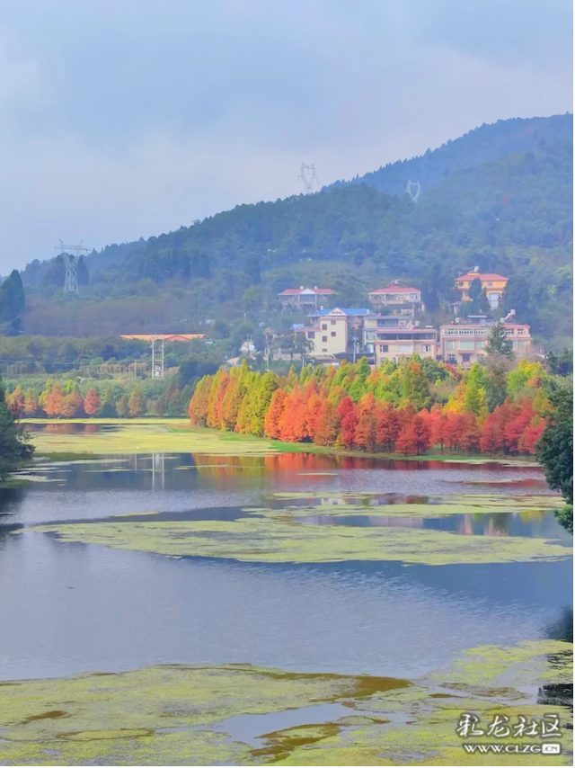 山水入画秋意来