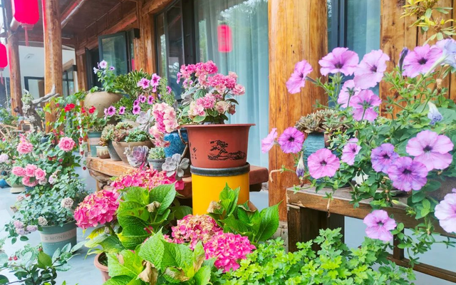 住进昭化，在青砖黛瓦间邂逅古城慢时光！