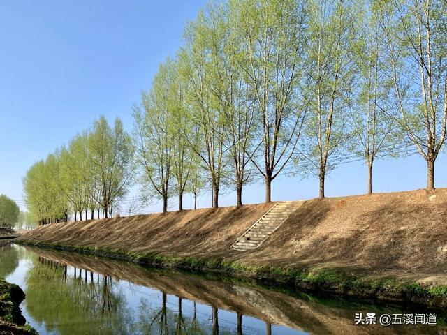 我们生活在昭通，了解昭鲁河治河历史吗？