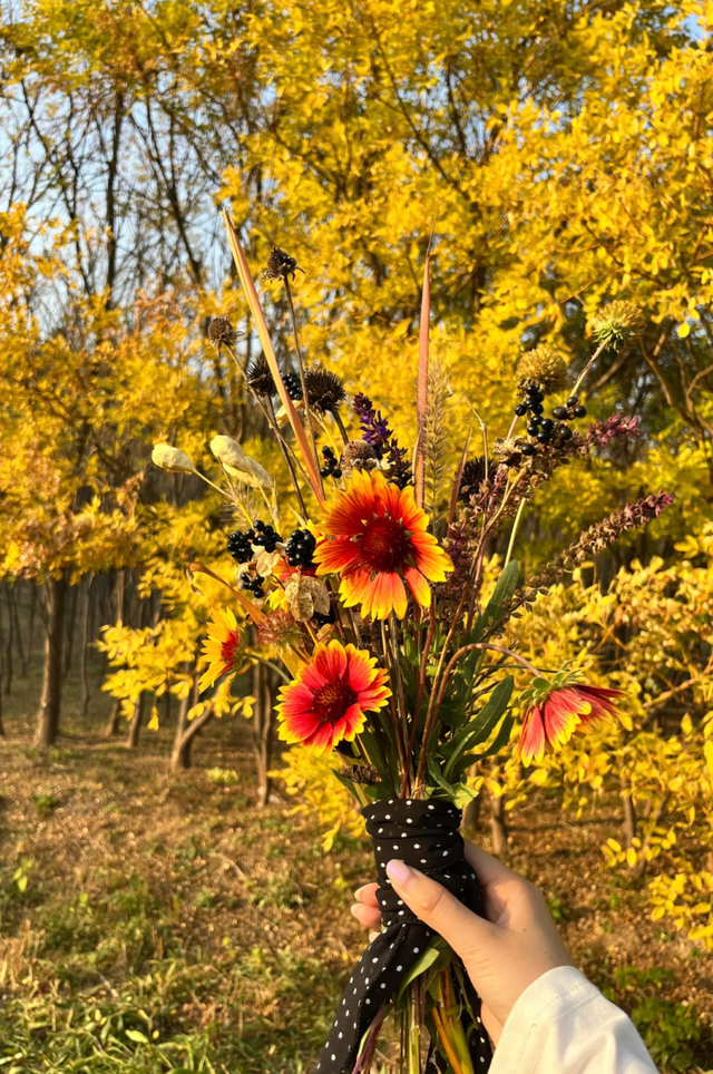 我捡，我捡，我在潍坊捡捡捡！