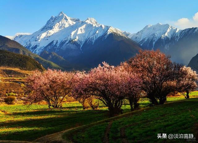 这是西藏的宝藏：雪域高原的千年密码与时代新章