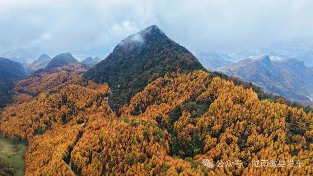 松针作笔，风折叶黄——嘉陵江峡谷群的初冬上滩书
