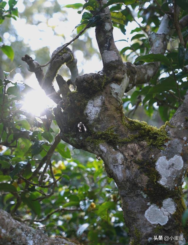 世界上只有云南才有的10大奇景