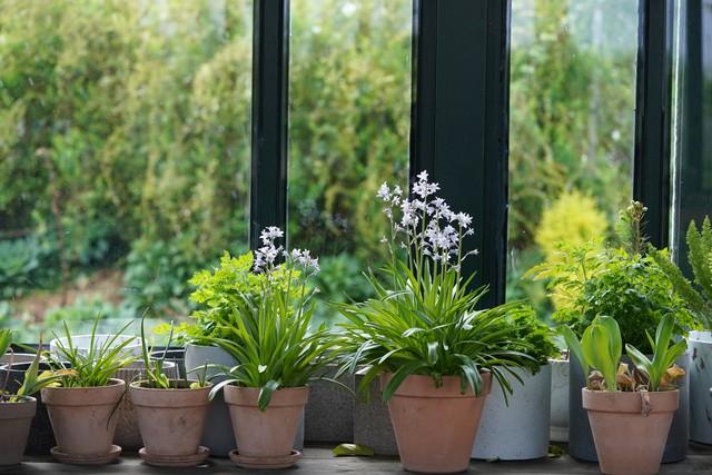 夫妻到了晚年，只要是“分房睡”	，大都逃不过3个原因