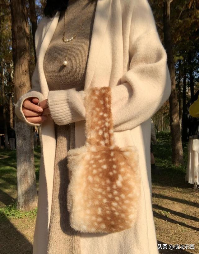 大热天穿毛衣去鄞州公园，水杉林里拍出惊喜美照