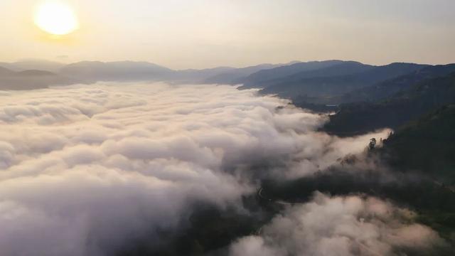 绿春县迷克茶山:云巅日出,一场温柔奔赴