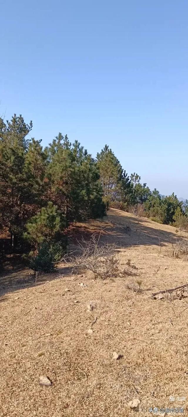 探秘楠溪江源头!这条海拔千米以上的草甸山脊只有极少数驴友知道