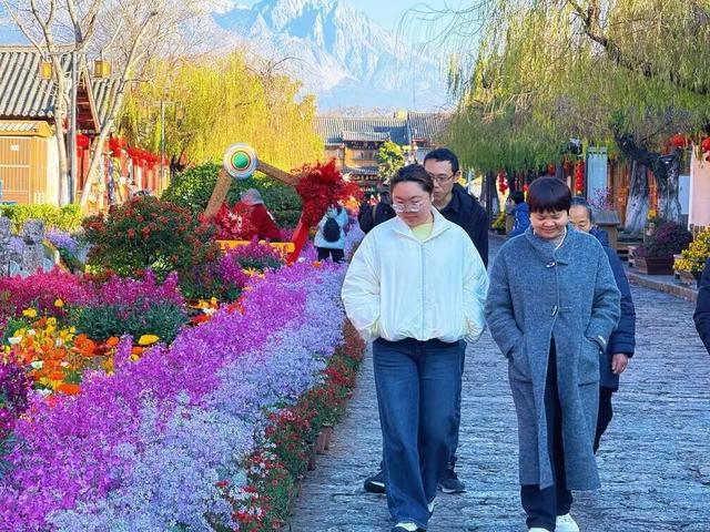 【网络中国节·春节】花海人潮映古城，八方游客来丽江过年