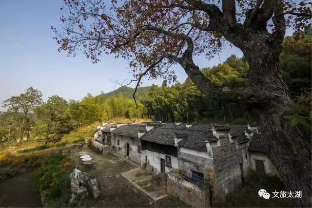 一路山水一路诗！这条环花亭湖自驾线，承包你所有惬意时光！