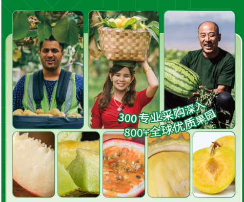 跨越千里的新奇特水果：揭秘百果园的全球直采“寻鲜地图”