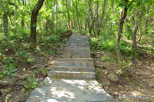 河北百草畔（上）：风动孤石悬险韵，蚁巡深岭蕴生机