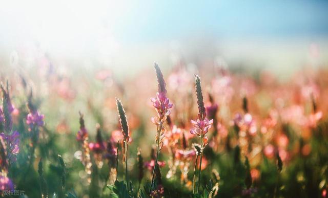 退休2年了，说说最近发生的事情