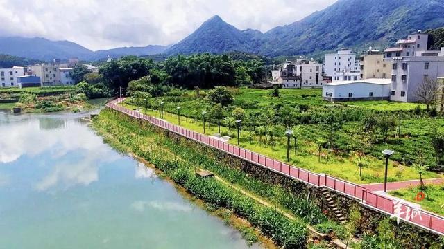 潮州潮安区东兴村：又见茶山 | 大美岭南·百村焕新记