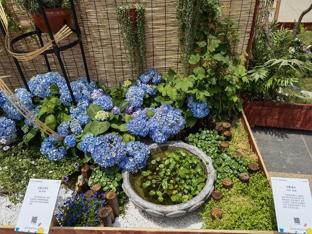 夫妻到了晚年，只要是“分房睡”，大都逃不过3个原因