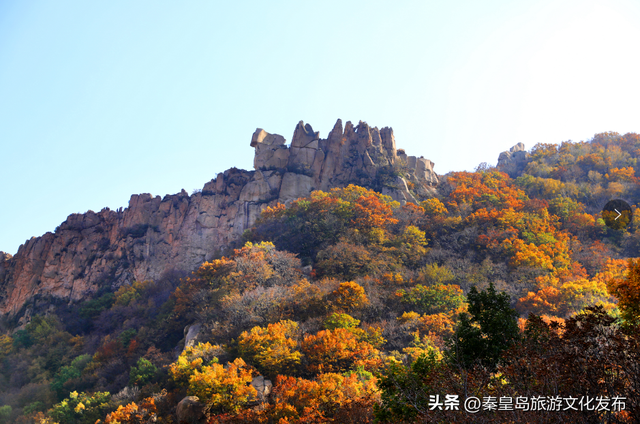 @全体教师，9月10日祖山免票优惠请查收！