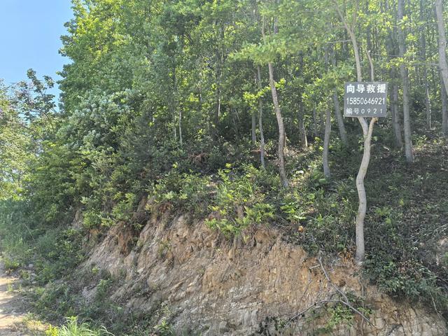南京江宁四径山一日郊野徒步