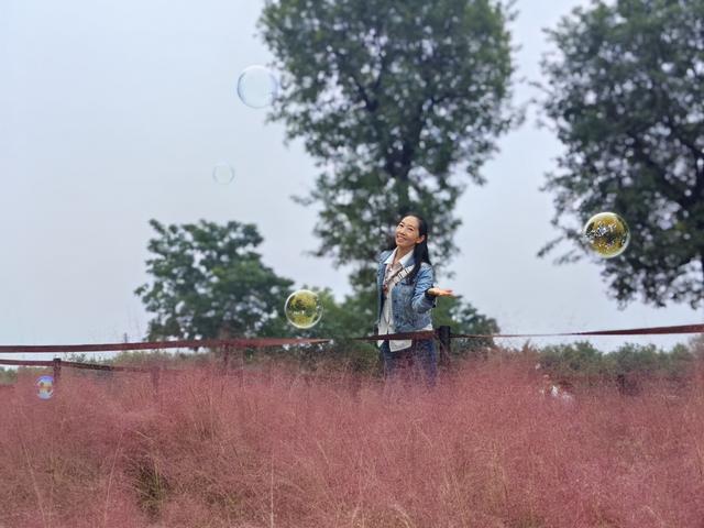 汉宫秋色