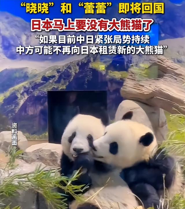 高市强行贴上来，日本死缠烂打要求中日会晤，中方被逼喊出2个字