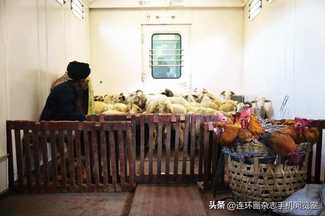彝路风情绿皮车“5633”：