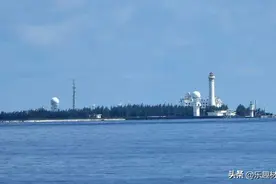 央视镜头下的南沙岛礁，自然生态系统加速形成，草丛竟有一人多高图片