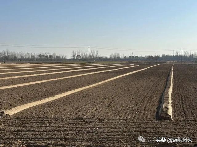 冠县乡韵·贾镇岑庄