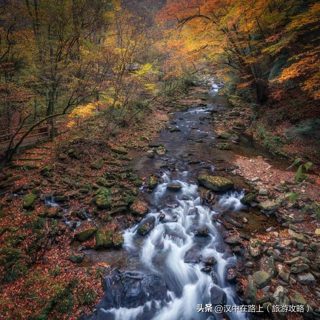 秋假即将开启，汉中多景区发布免票优惠政策→