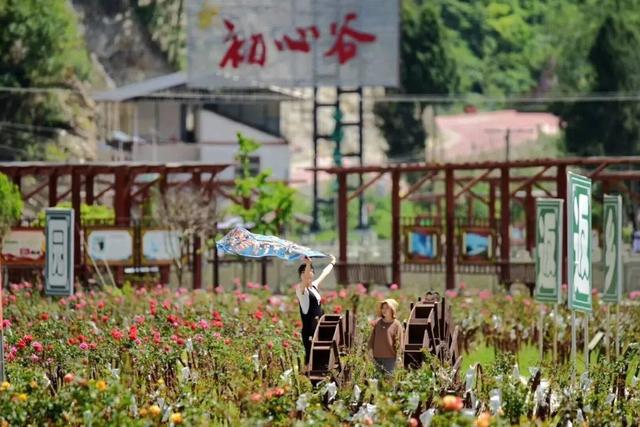 广纳天下客 元梦新蜀道 | 在吗？你的省钱攻略已送达！