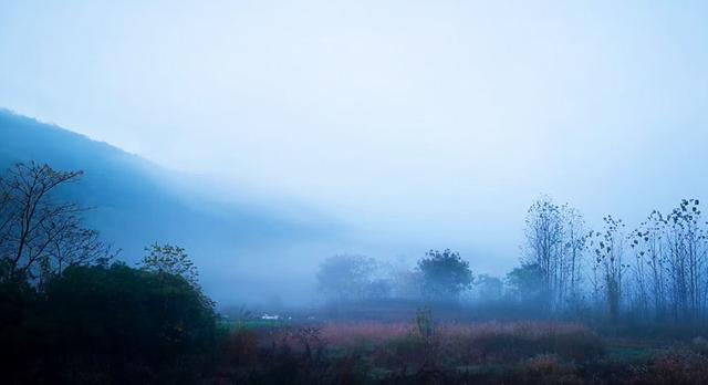 晨雾翩跹入画来 赤壁黄狮畈冬景藏诗意