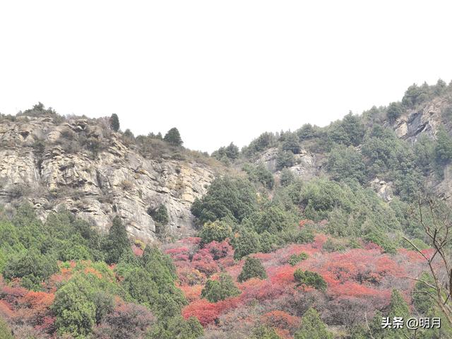 龙洞胜境尤奇崛