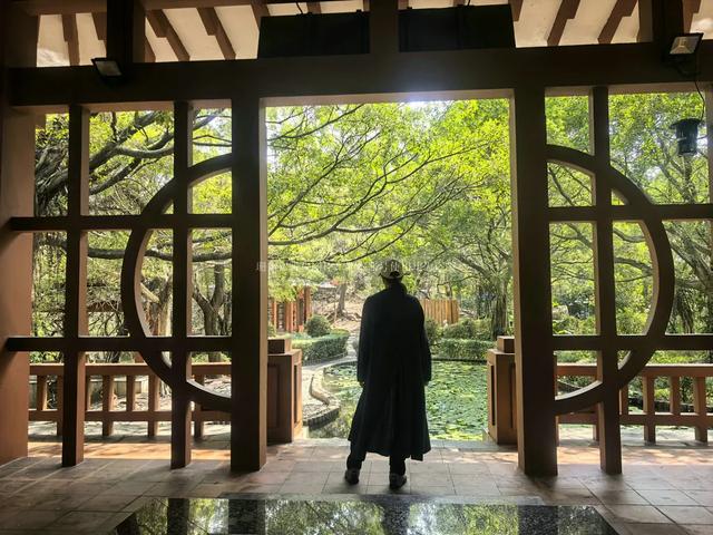 顺德为何称“凤城”?源于闹市中的这座山,藏着数百年的城市文脉