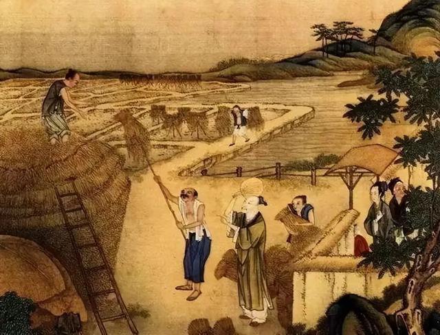 “冷不冷，就看立秋”，明日立秋，今年冬天冷到哭吗？看农谚咋说