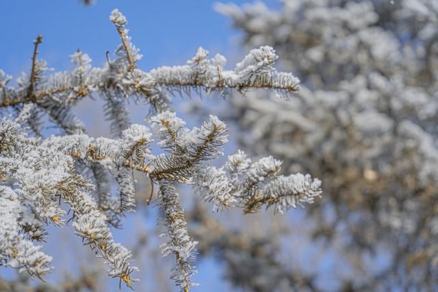 冬至逢九，冬日浪漫之约