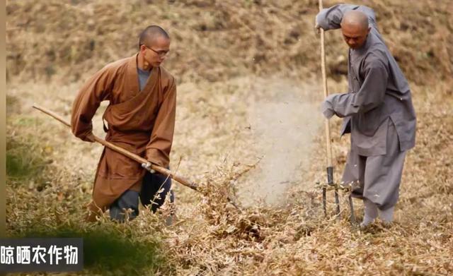 临危受命后直接掀翻释永信式商业，少林寺新住持，到底什么来头？