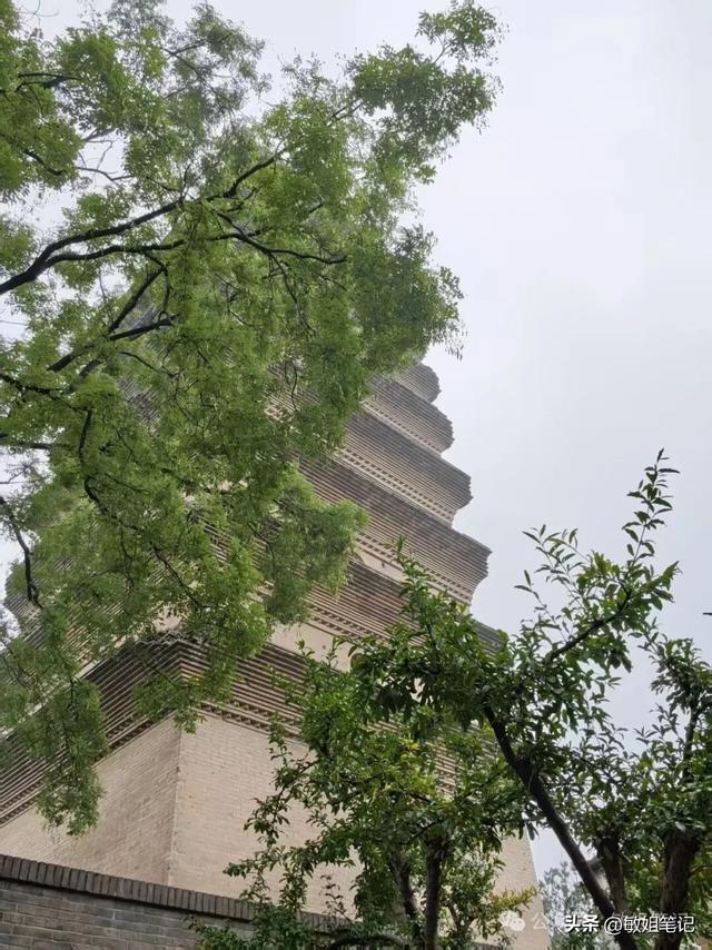 【西安游学之三】文博探秘：西安博物院