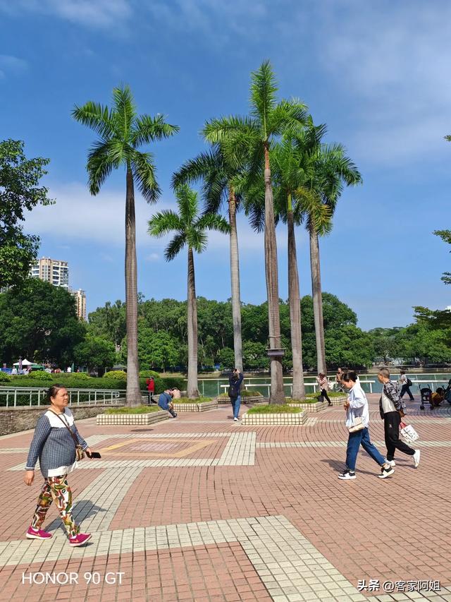 秋日的天河公园