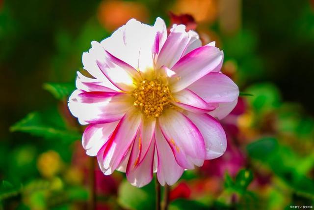 情感爆文:《爱一个人，就是愿意为他改变》