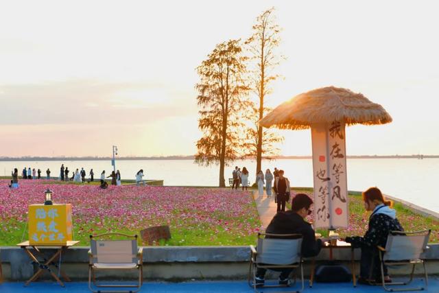 昆山这条路，成为全国样板！