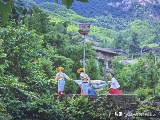 私藏！湘西南23℃溯溪秘境：玩水、赏瀑、遛娃，夏天的快乐全在这！