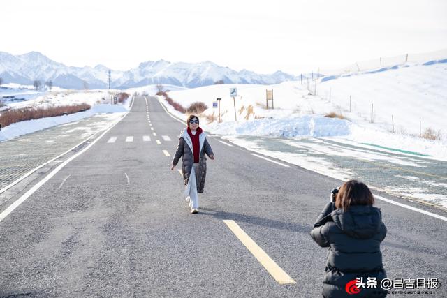 视觉·昌吉 | 银装素裹江布拉克 雪映松林绘冬图