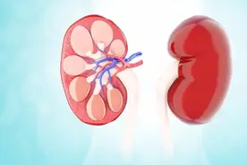 得了肾病就痛苦，有了这个药方，各项指标好转了图片